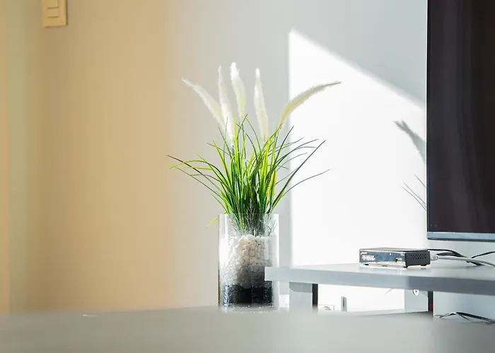 Anchored In Carmo By Homie *