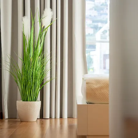 Anchored In Carmo By Homie *