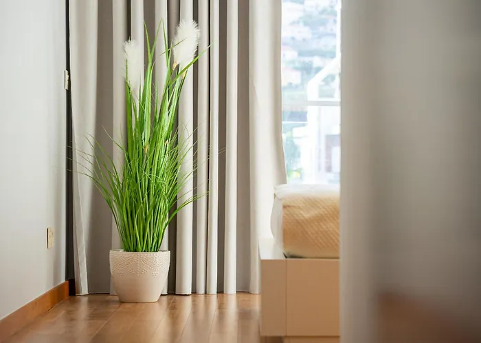 Anchored In Carmo By Homie *