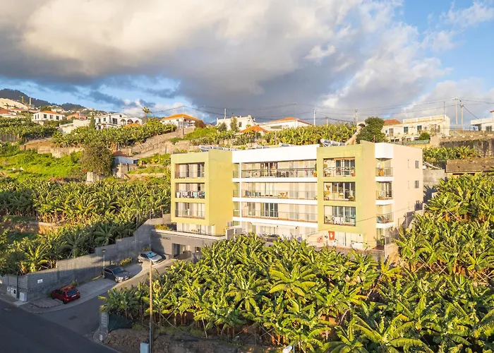 Anchored In Carmo By Homie Διαμέρισμα Câmara de Lobos